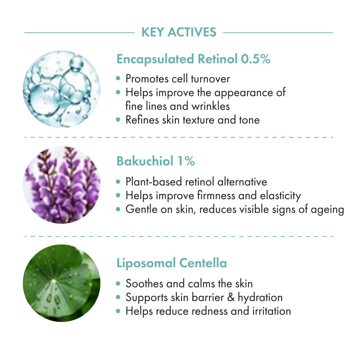 The Skin Lab Retinew Advanced Renewal Serum (30ml) - Image 3